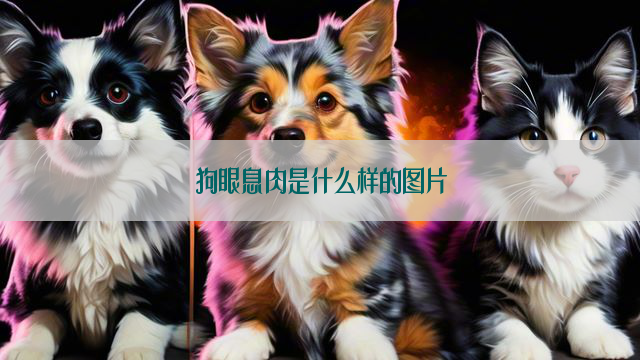 狗眼息肉是什么样的图片