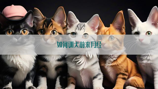 如何训犬前来月经