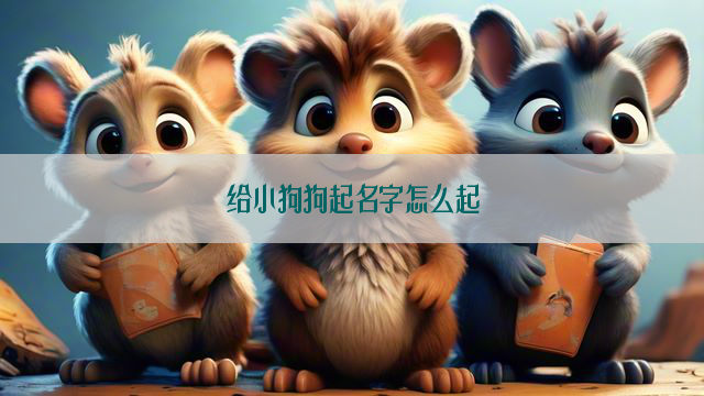 给小狗狗起名字怎么起