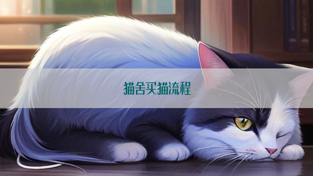 猫舍买猫流程