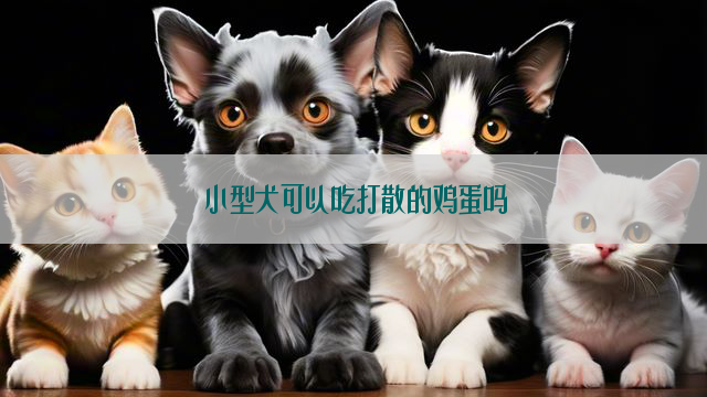 小型犬可以吃打散的鸡蛋吗