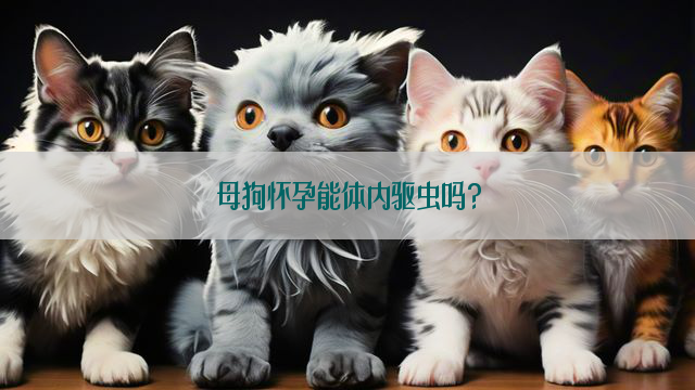 母狗怀孕能体内驱虫吗?