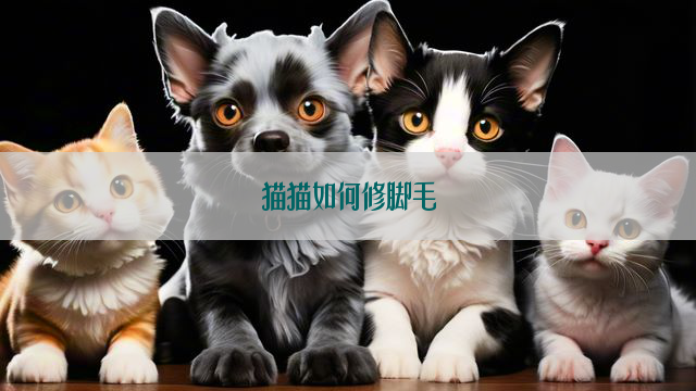 猫猫如何修脚毛