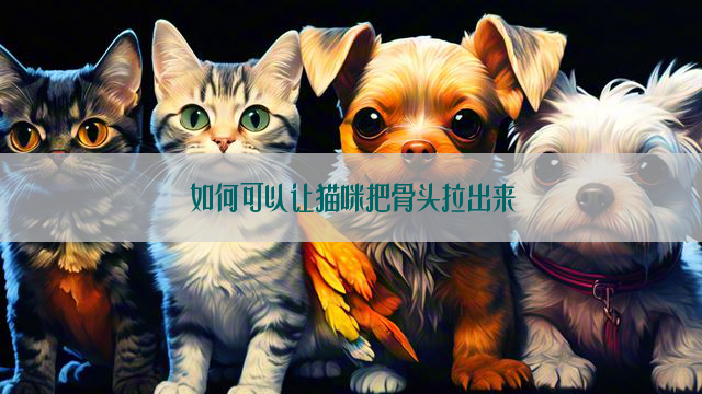 如何可以让猫咪把骨头拉出来