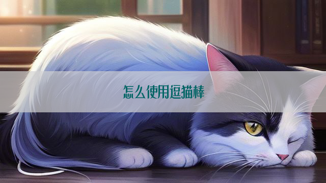 怎么使用逗猫棒