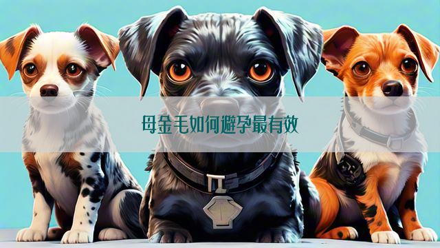 母金毛如何避孕最有效