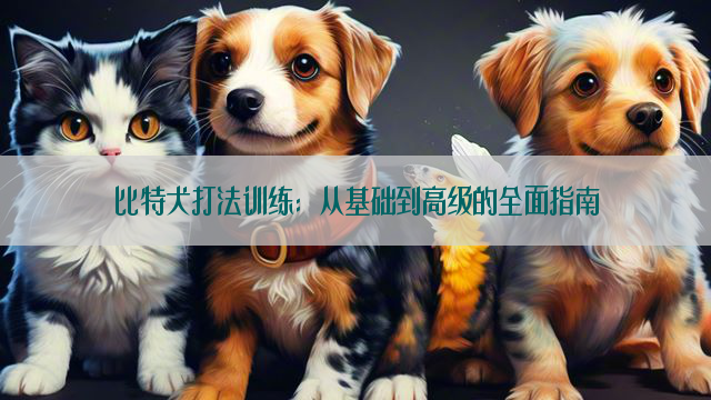 比特犬打法训练：从基础到高级的全面指南