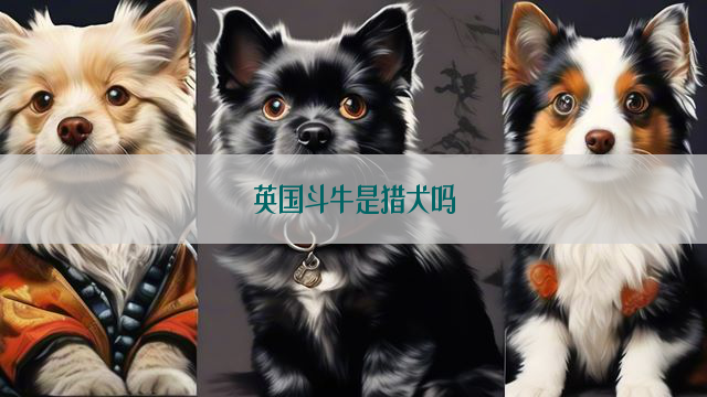 英国斗牛是猎犬吗