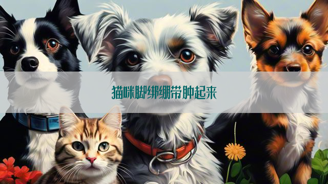 猫咪脚绑绷带肿起来