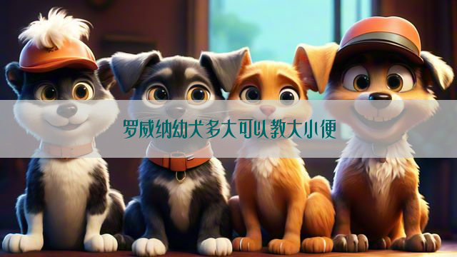 罗威纳幼犬多大可以教大小便