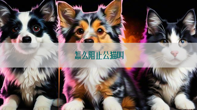 怎么阻止公猫叫