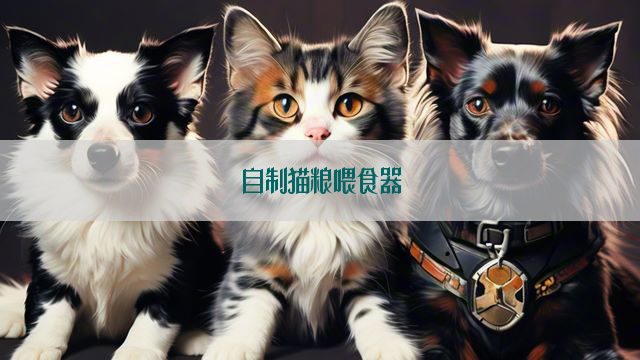 自制猫粮喂食器