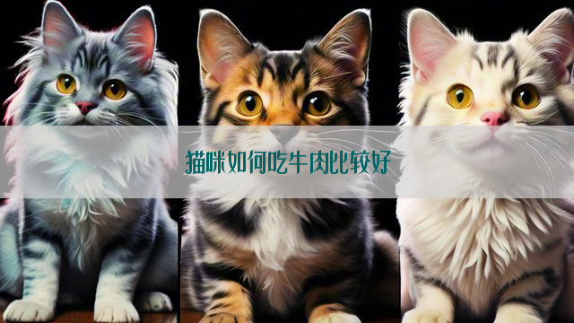 猫咪如何吃牛肉比较好