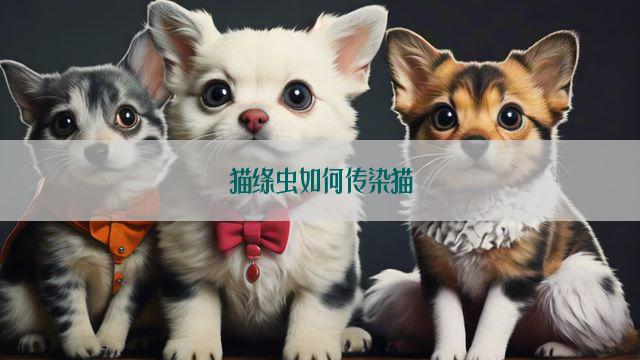 猫绦虫如何传染猫