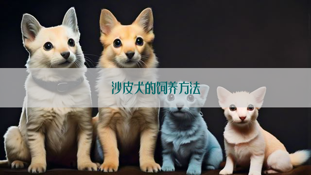 沙皮犬的饲养方法