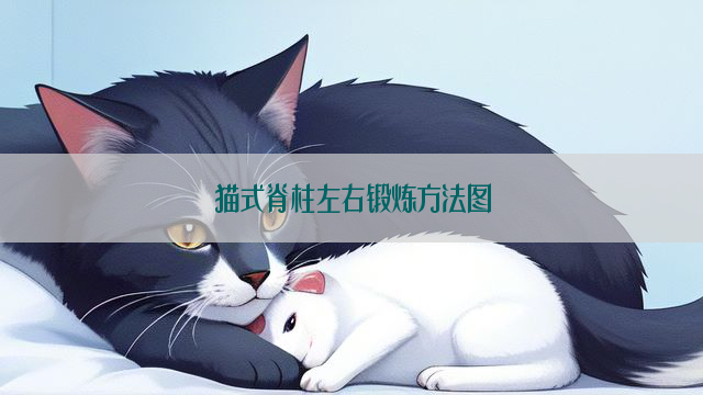 猫式脊柱左右锻炼方法图