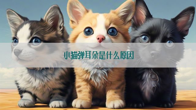 小猫弹耳朵是什么原因