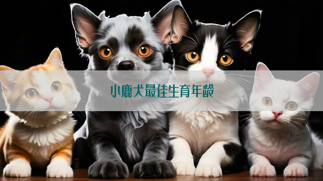 小鹿犬最佳生育年龄