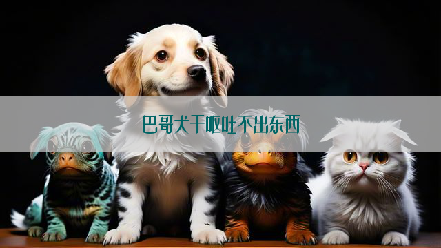 巴哥犬干呕吐不出东西