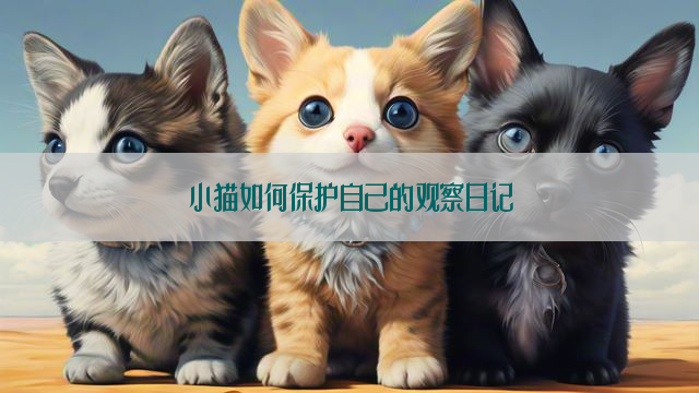 小猫如何保护自己的观察日记