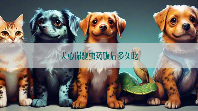 犬心保驱虫药饭后多久吃