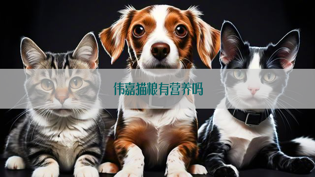 伟嘉猫粮有营养吗