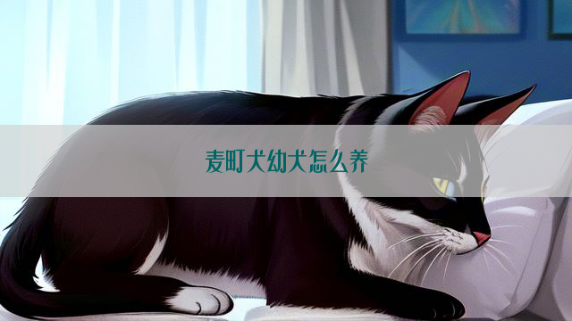 麦町犬幼犬怎么养