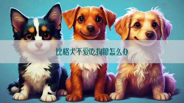 比格犬不爱吃狗粮怎么办