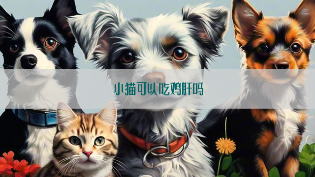 小猫可以吃鸡肝吗