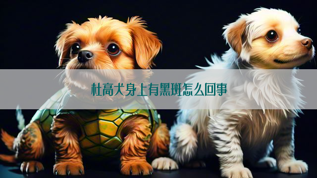 杜高犬身上有黑斑怎么回事