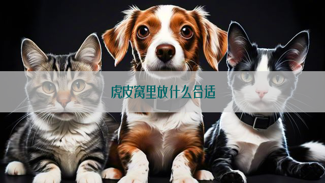 虎皮窝里放什么合适