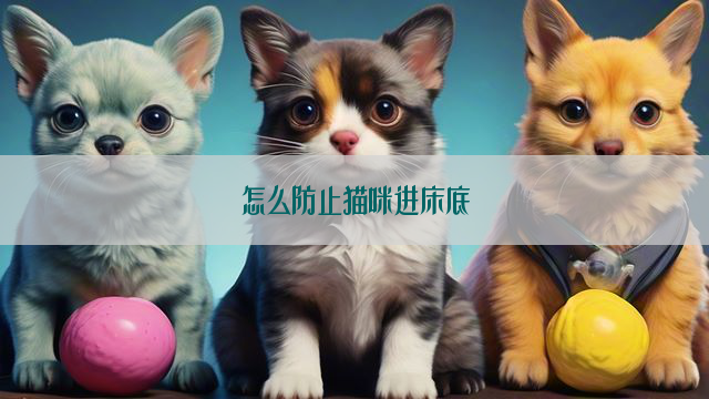 怎么防止猫咪进床底