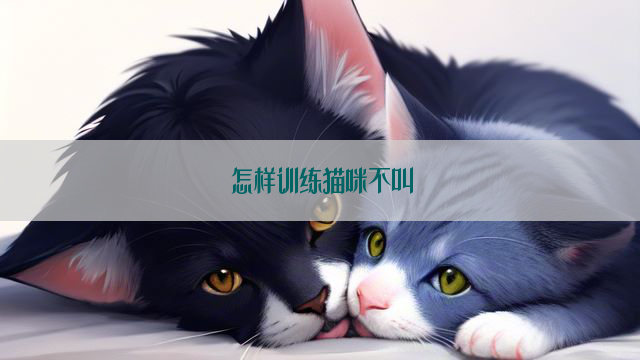 怎样训练猫咪不叫