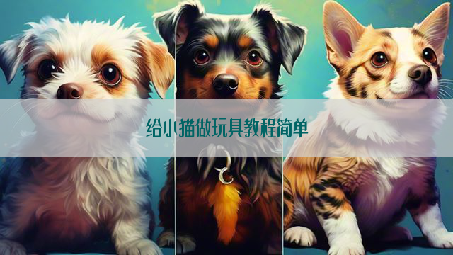 给小猫做玩具教程简单