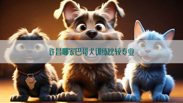 许昌哪家巴哥犬训练比较专业