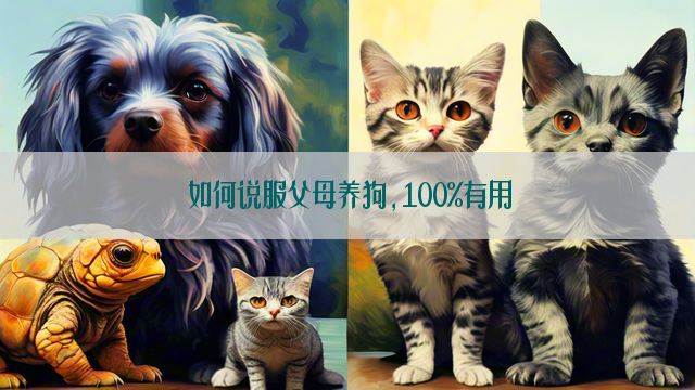 如何说服父母养狗,100%有用