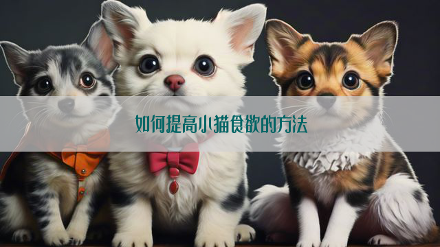 如何提高小猫食欲的方法