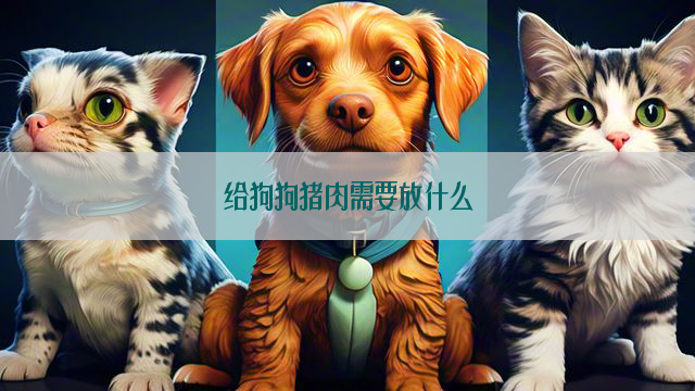 给狗狗猪肉需要放什么