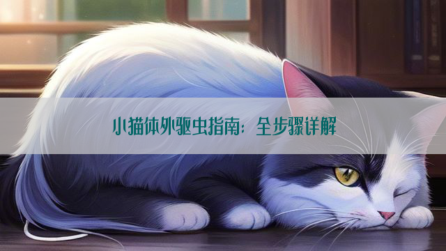 小猫体外驱虫指南：全步骤详解