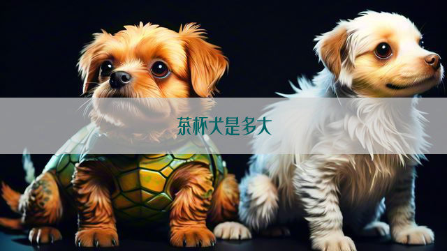 茶杯犬是多大