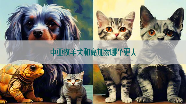 中亚牧羊犬和高加索哪个更大