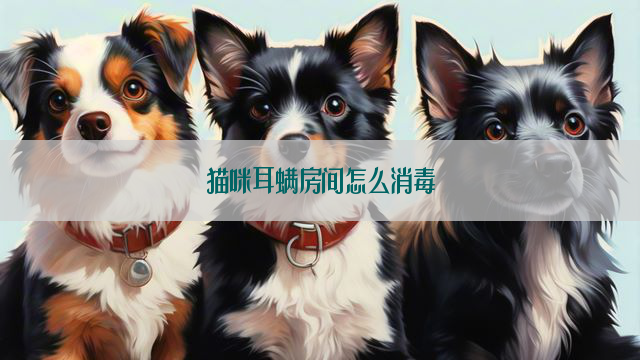 猫咪耳螨房间怎么消毒