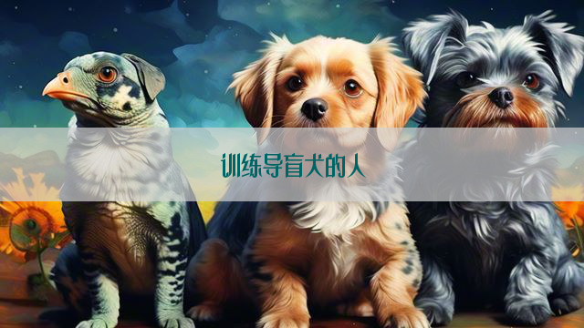 训练导盲犬的人