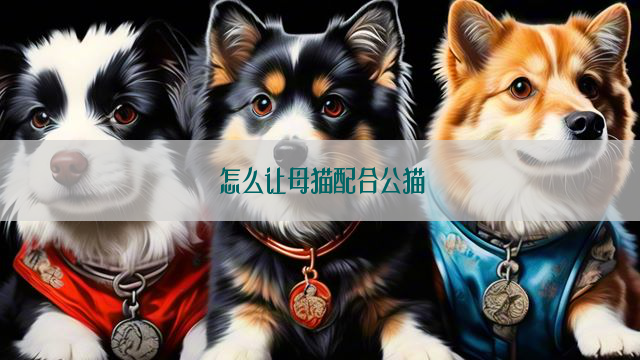 怎么让母猫配合公猫