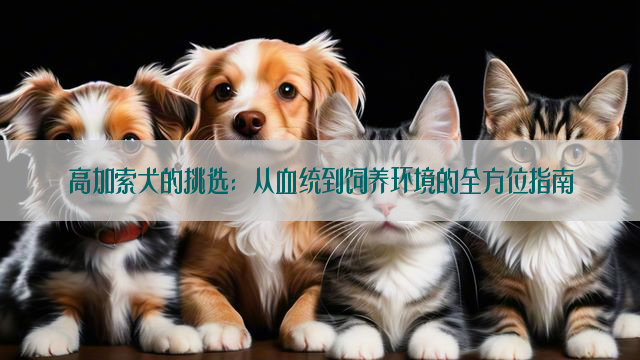 高加索犬的挑选：从血统到饲养环境的全方位指南