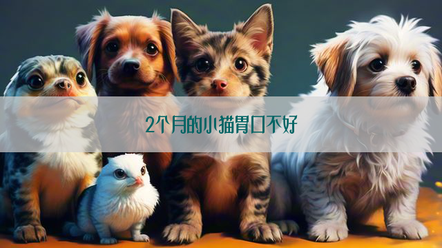 2个月的小猫胃口不好