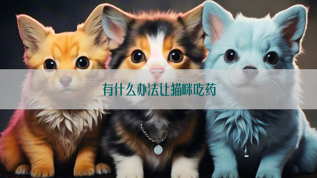 有什么办法让猫咪吃药