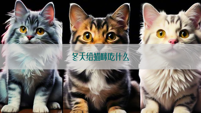 冬天给猫咪吃什么