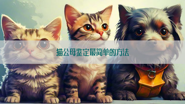 猫公母鉴定最简单的方法