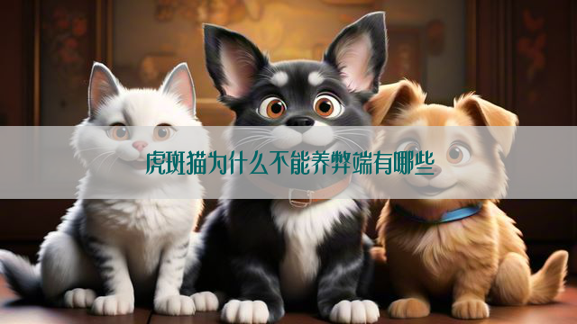 虎斑猫为什么不能养弊端有哪些